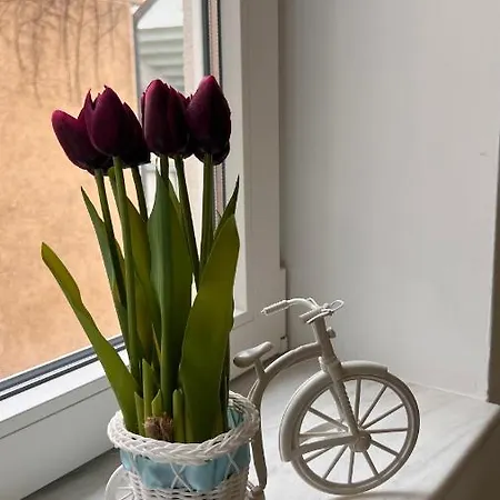 Charming Place Cotroceni Bucharest