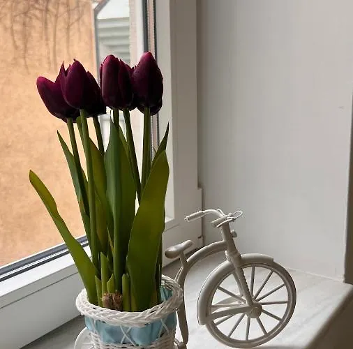 Charming Place Cotroceni Bucharest